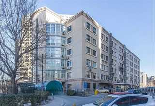 佛山自营专线智利专线诚信互利