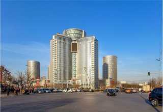 肉桂色克拉西尼柯夫氏菌菌株